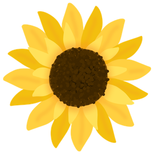 tournesol
